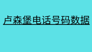 +卢森堡电话号码数据